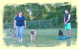 Maple Ridge Dog Training