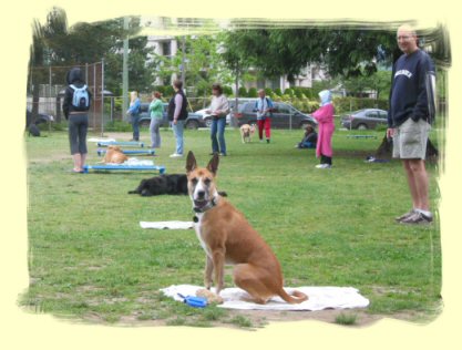Burnaby Dog Trainer