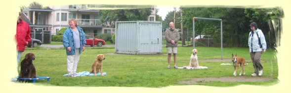 Pitt Meadows Dog Training
