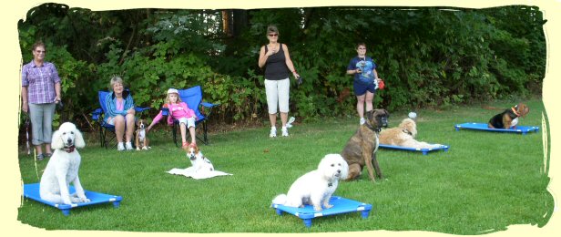 Dog Training Port Coquitlam, B.C.