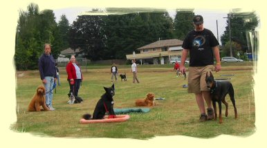 Dog Training Vancouver