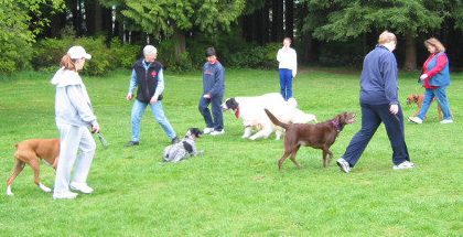 Dog Training West Vancouver