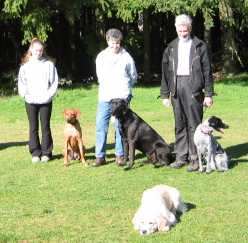 Dog obedience training, Burnaby, Vancouver