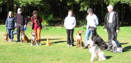 Puppy Training Vancouver