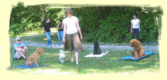 Burnaby Dog Obedience Training
