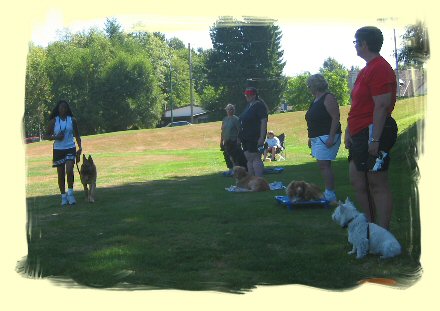 Dog Training, Burnaby, B.C.