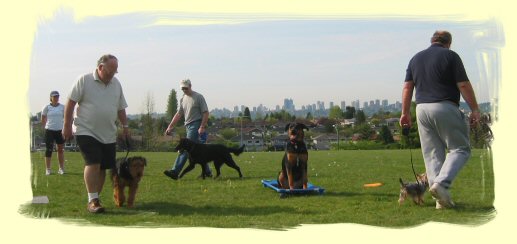 Vancouver Puppy Training