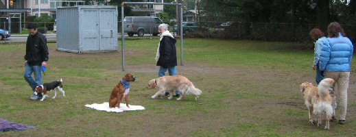Vancouver Dog Trainer