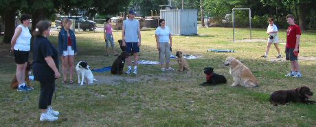 Dog Training, Maple Ridge, B.C.